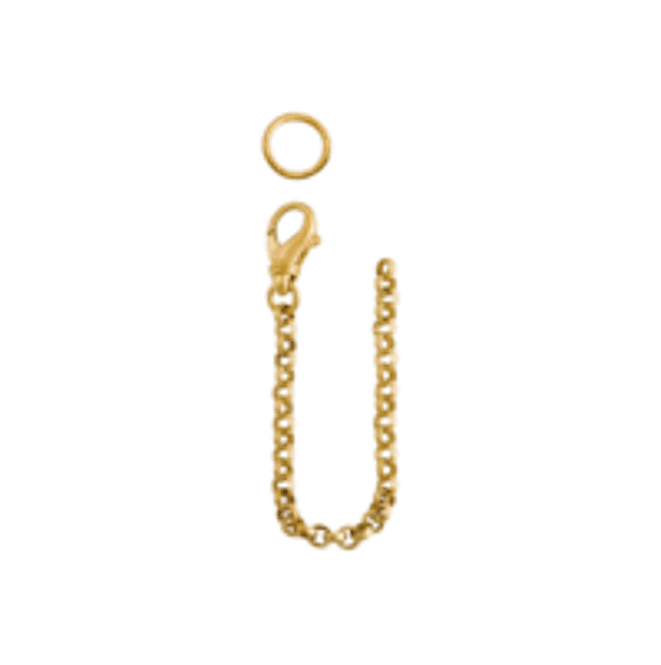 Hovedbilde Sikringslenke til veskelås 398600, forgylt